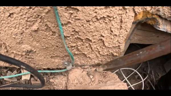 Atlas Pest Control Reports Rising Demand for Rodent Solutions in Norman