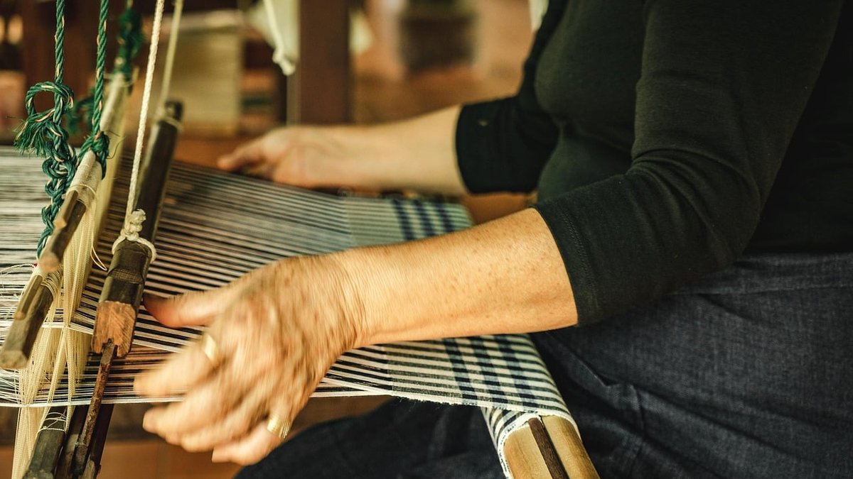 History Of Silk Production & Sustainable Sericulture Methods: Guide Released