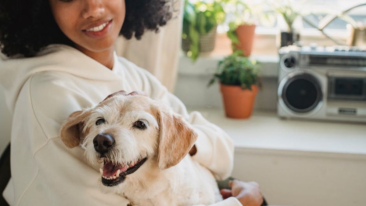 15 Behavioral Changes Dogs Show When They Sense You're Not Okay