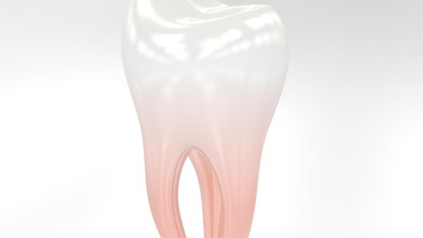 Baltimore Dentist AI Search Visibility: Multichannel Content Marketing Announced