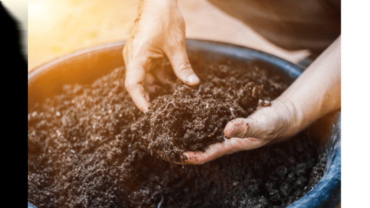 Bled Custom Fertilizer Development with Soil Analysis: Services Expanded