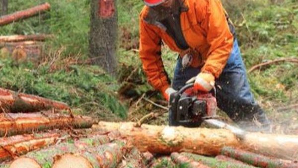 Carbide Chainsaw Chains For Forestry, Demolition & Rescue: 2026 Guide Released
