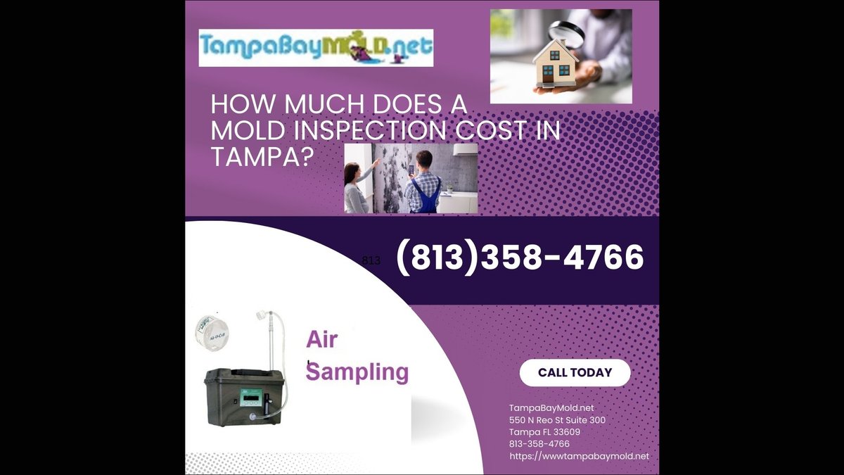 Dangerous Mold Species in Tampa Homes: Identification Guide Released