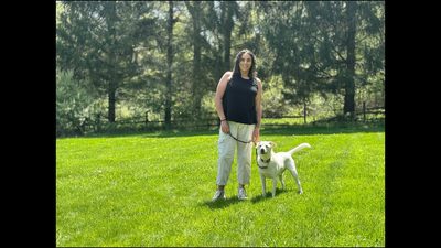 Dog Training NJ: How to Spot a Real Pro From a Pretender