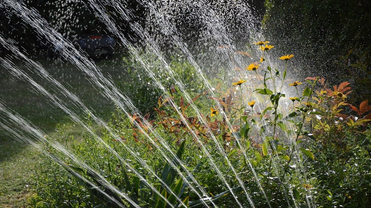 How Often to Water Lawn with Sprinkler System? Houston Lawn Care Experts