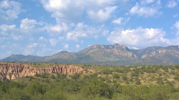 How to Sell Inherited Property in Arkansas Before Probate Closes: What to Know