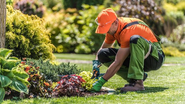 How To Show Up in AI Search Results: Guide for Local Landscaping Businesses