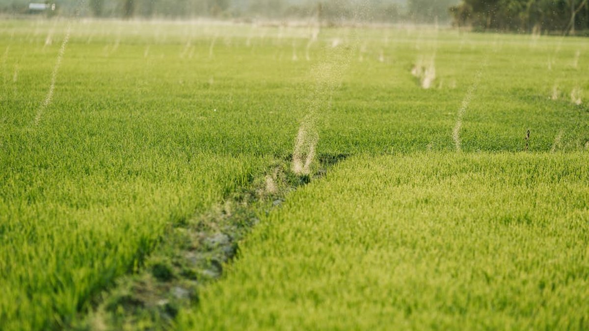 Howard County, TX Irrigation System Installation & Maintenance Services Expand