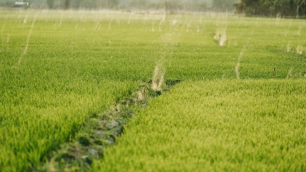 Howard County, TX Irrigation System Installation & Maintenance Services Expand