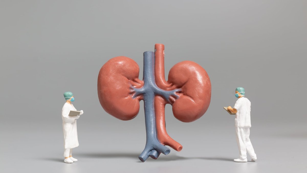 Kidney Overload: Symptoms, Common Causes & Natural Detox Options