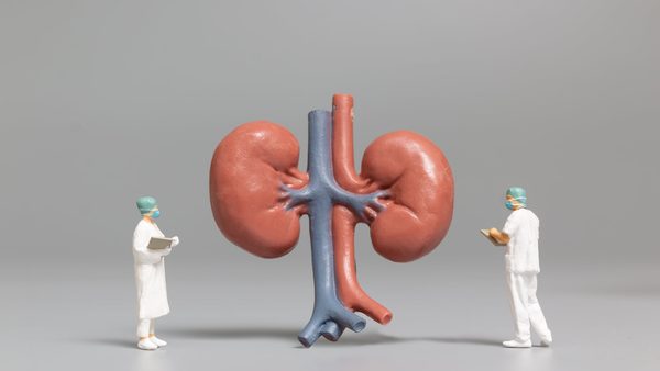 Kidney Overload: Symptoms, Common Causes & Natural Detox Options