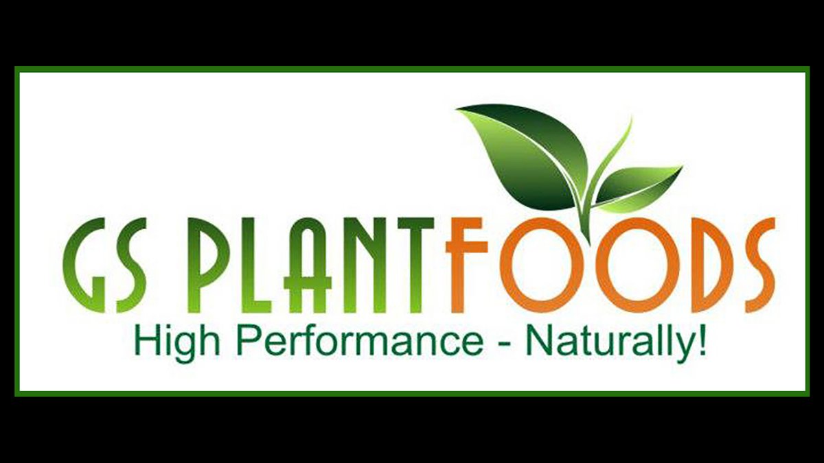 Organic Lawn Fertilizer For Heat Resistance: Organic Liquid Solution Available