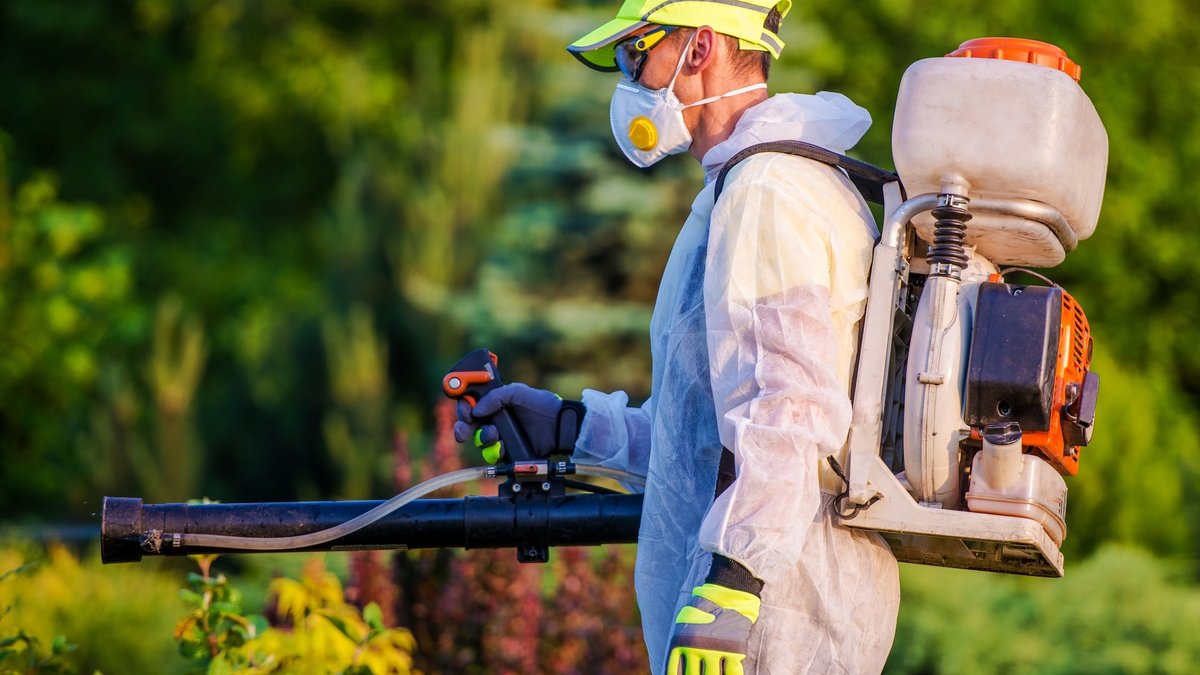 Residential Pest Control In Sterling, VA: Top Exterminator Pricing & Reviews