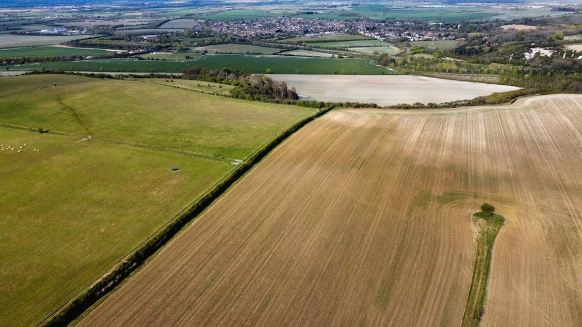 Stepped-Up Basis For Inherited Land: How It Saves Owners Money On Taxes