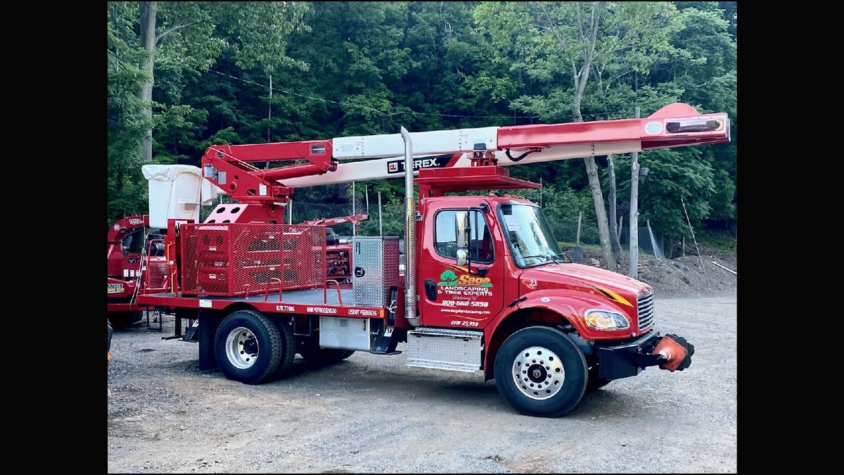 Tree Removal: Central NJ Tree Care Company Explains Necessity Indicators