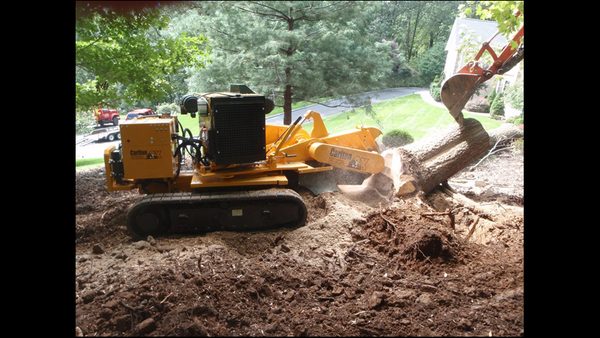 Tree Service Warren NJ - Comprehensive Quality Tree Care Solutions Available