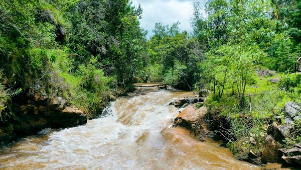 West Africa Water Crisis & Deforestation: Environmental Link Explained