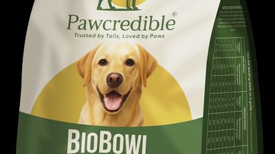Why BioBowl Fusion Is the Future of Feeding Your Dog