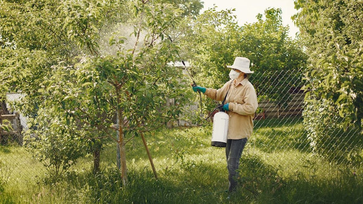 Alexandria, VA Pest Control & Extermination Companies: Hiring Guide Released