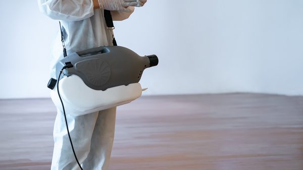 Best Way to Remove Bed Bugs: Virginia Exterminators Compare Heat vs Chemical