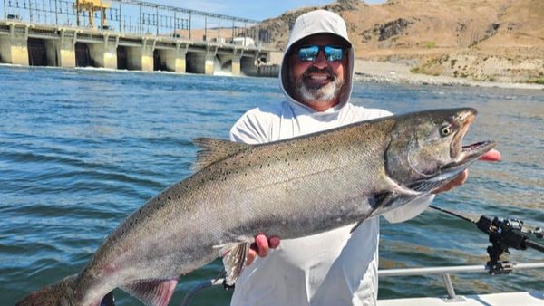 Coho vs Chinook Salmon Fishing at Buoy 10: How to Tell Them Apart in the Water