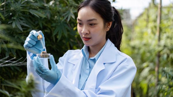 Ethanol vs CO2 Extraction: Which Is Right for a GMP Medical Cannabis Lab?