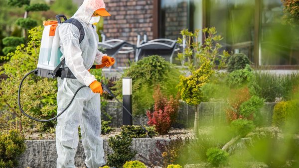 Falls Church Residential Pest Management & Extermination: Services Expanded