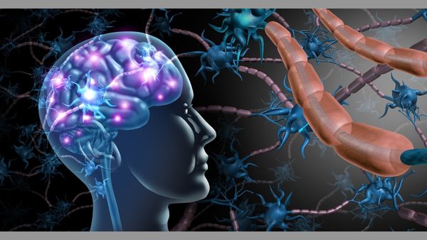Gut-Brain Connection May Explain Anxiety and Brain Fog That Labs Miss