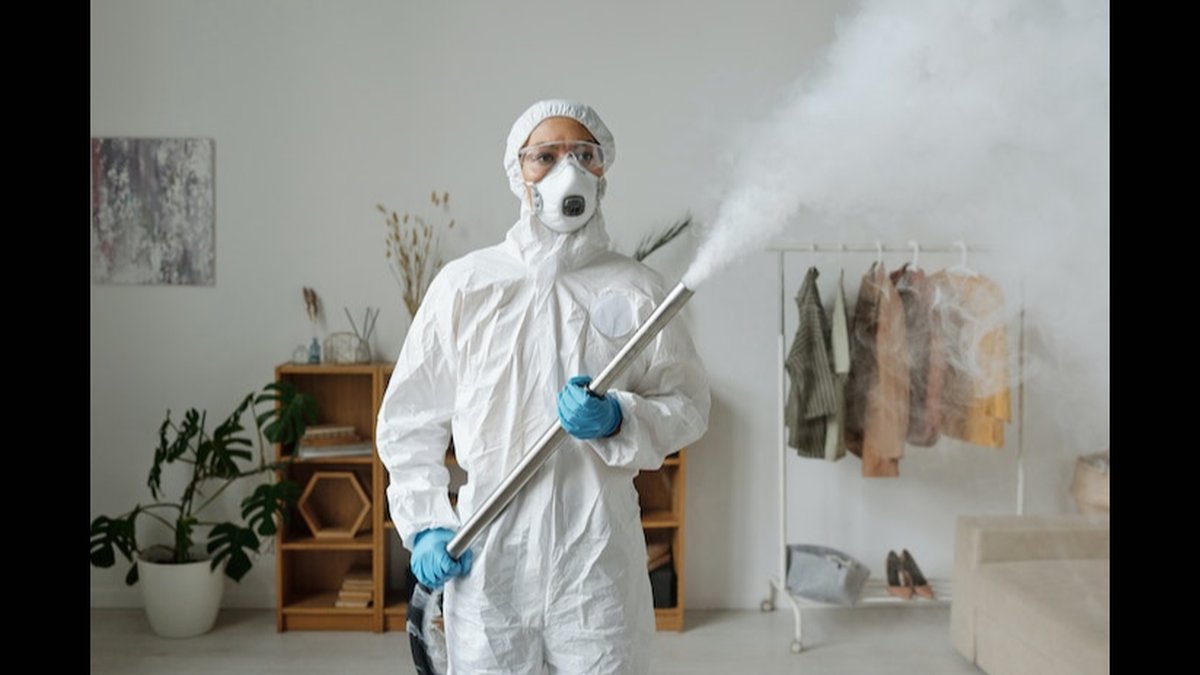 How Does Professional Pest Control Work? VA Experts Explain Long-Term Benefits