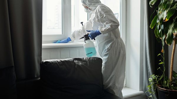 How to Remove Bed Bugs Safely: Ashburn, VA Exterminators Explain Heat Treatment