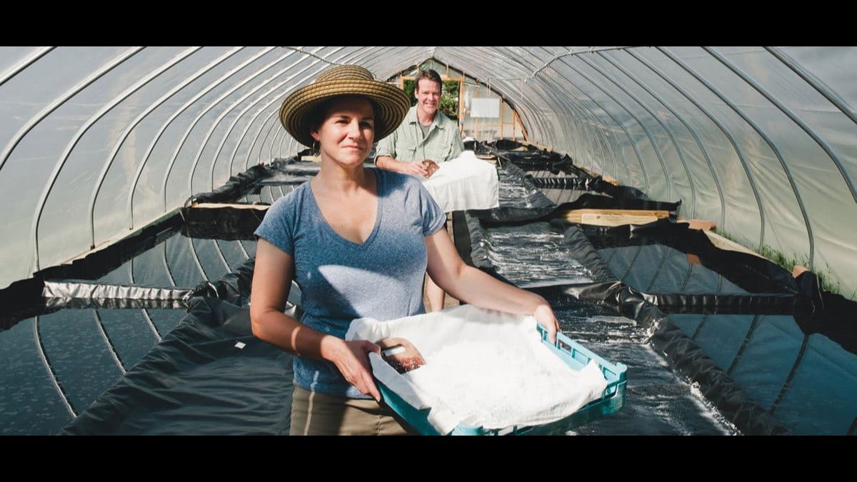 J.Q. Dickinson Revives Appalachian Salt Traditions In 2026 Heritage Food Trend