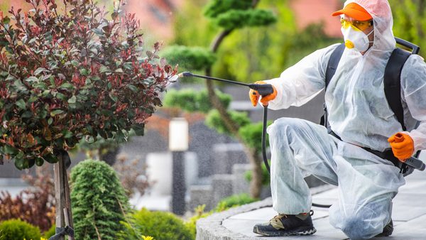 McLean, VA Residential Pest Control For Cockroaches: Pricing Guide Released
