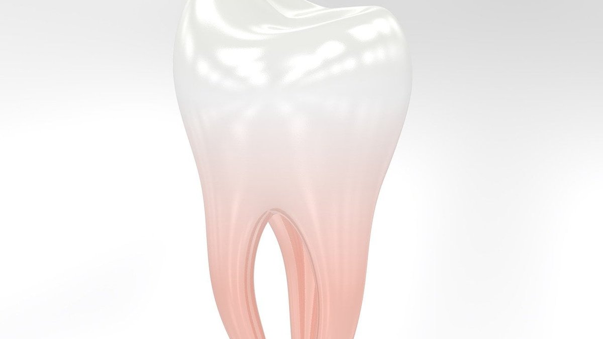 Nottingham Multiple Tooth Implants: Full-Arch Restoration Cost Guide Released