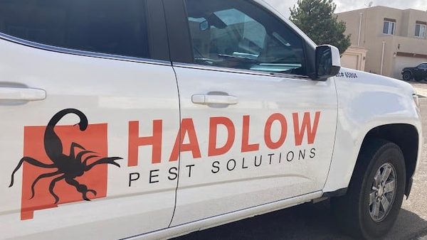 Pest Control Costs? Albuquerque Certified Entomologist Explains Pricing