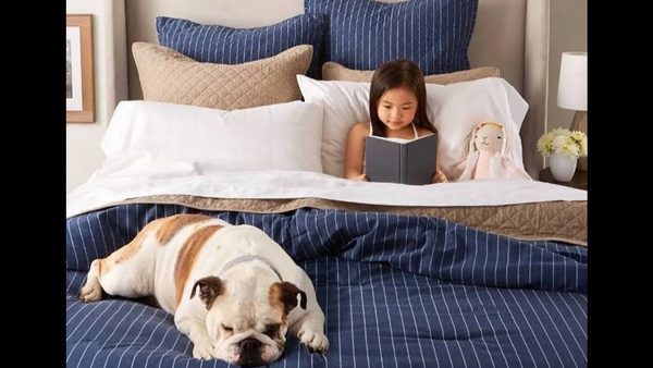 Pet-Resistant Fabrics For Bed Sheets: Buyer’s Guide For Dog Owners Released