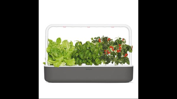 Smart Indoor Garden For Year-Round Herbs & Greens: New System Announced