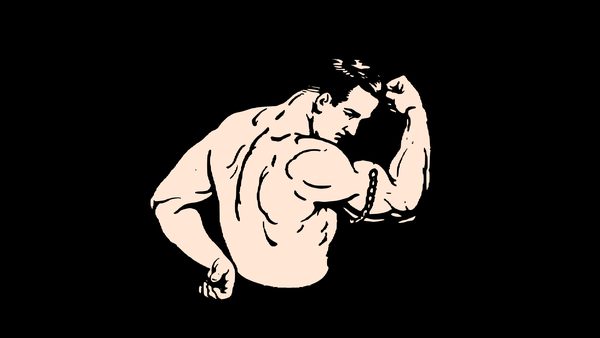 TestoFuel vs Prime Male: Synergistic Formula Mechanisms Compared