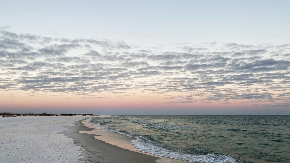 Texas Gulf Coast Pet-Friendly Vacation Rentals By Owner: Holiday Guide Updated