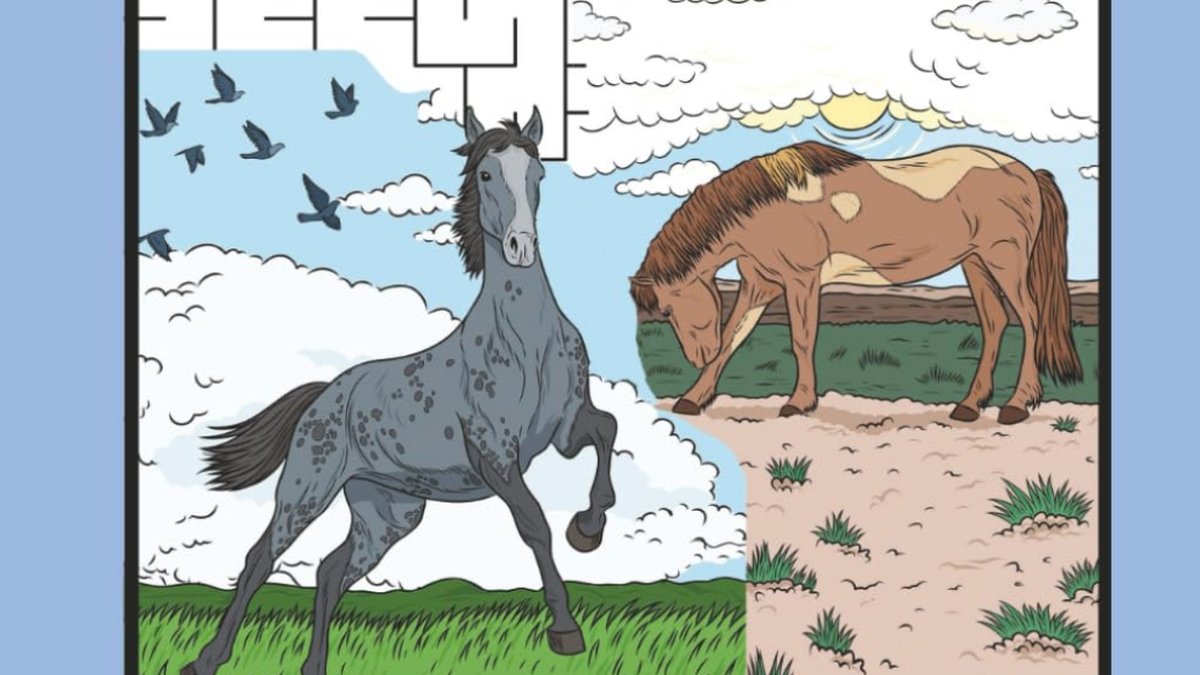 Wild Horses Coloring Book: Named Characters with Backstories & Puzzles
