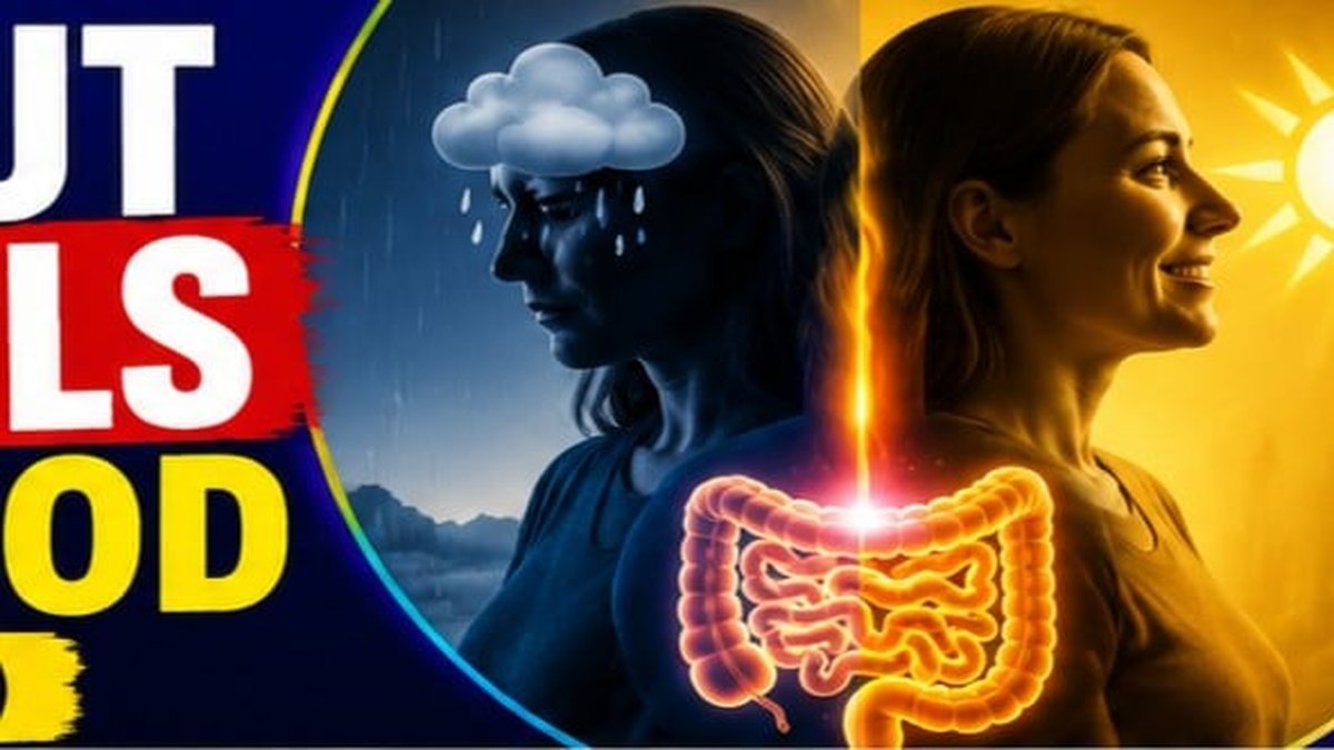Your Gut Controls Your Mood: New Video Explains Gut-Brain Connection