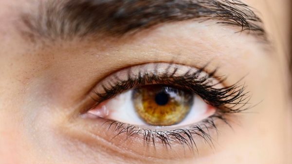 GrandeLASH-MD vs The Ordinary vs Trybello Lash Serum: Cost, Results & Reviews