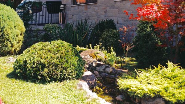 Is Professional Landscaping Worth It? Home Value & Energy Efficiency Explained