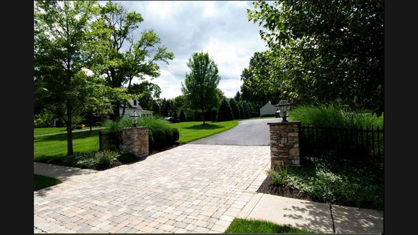 Is Professional Lawn Care Worth It? Costs, Tips & When To DIY vs Hire A Pro