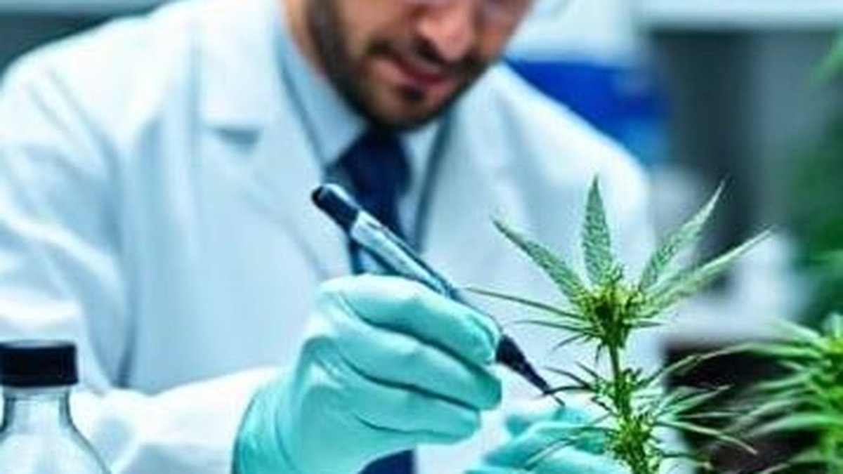 Medical Cannabis Lab Design Mistakes That Can Delay Licensing and Compliance