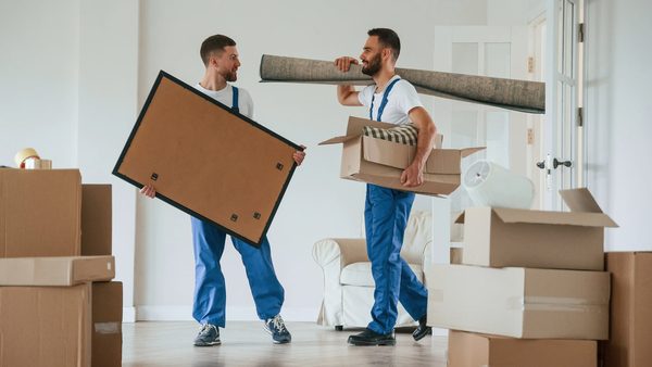 Moving Companies vs. DIY: Which Option Offers a Smoother, Cheaper Relocation?
