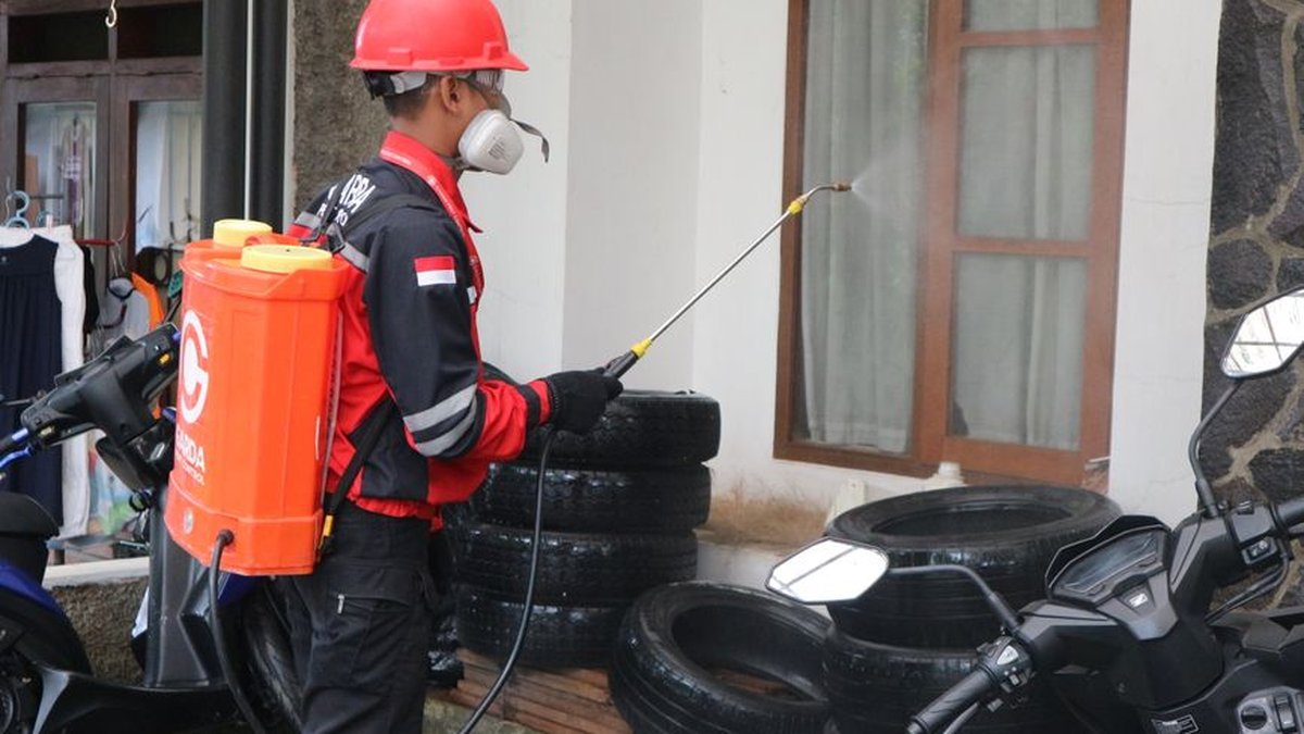 Pest Control Business Marketing & Local Search Visibility Service Expanded