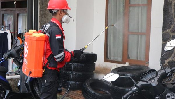 Pest Control Business Marketing & Local Search Visibility Service Expanded