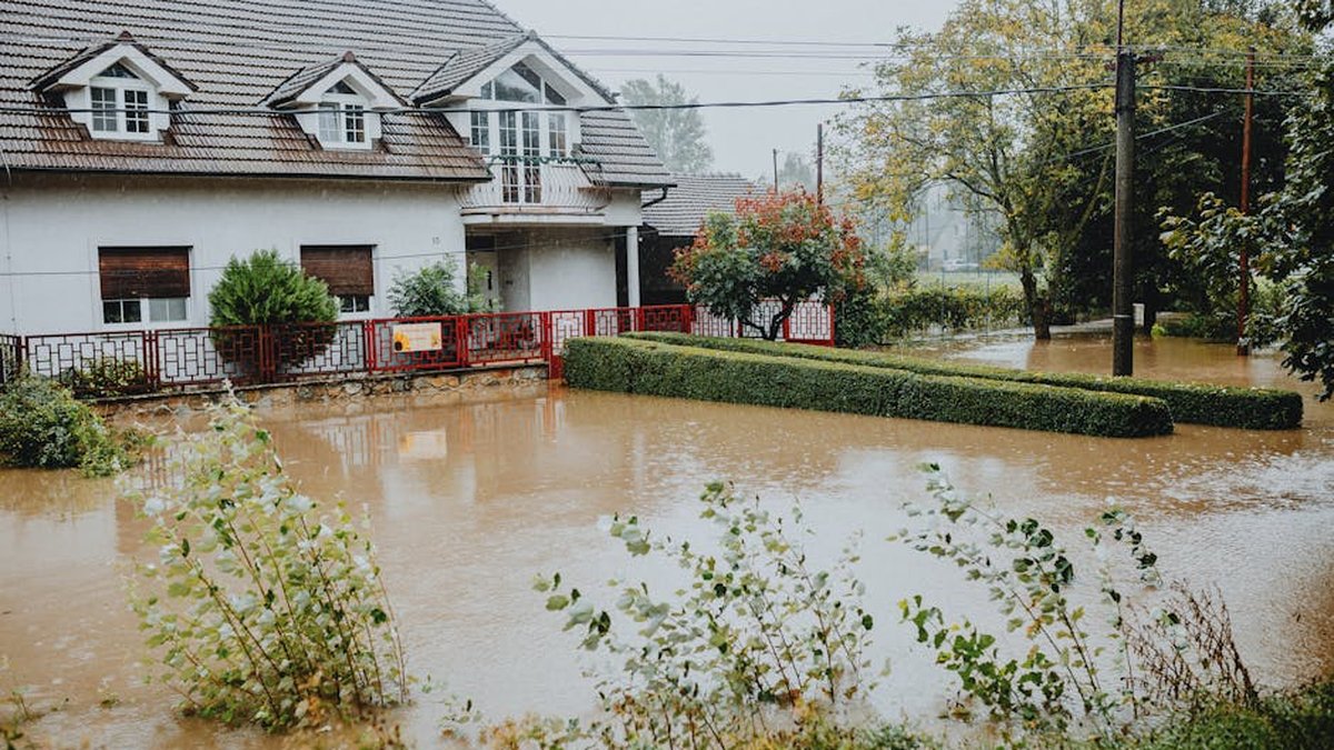 Selling a Flood-Damaged House Fast: Cash Offers vs. the Traditional Path