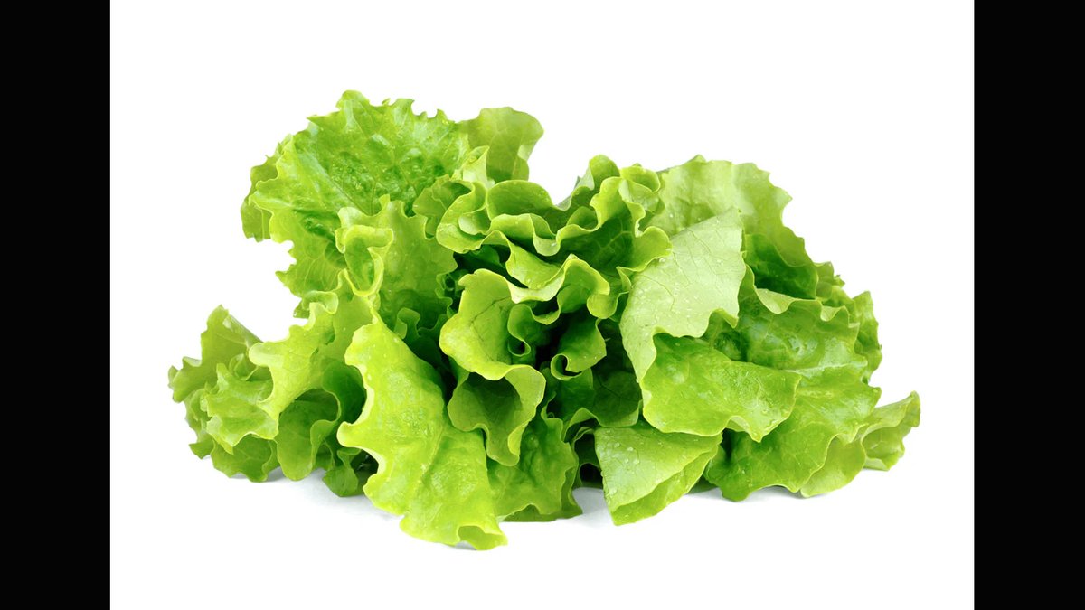 Smart Indoor Garden Systems Explained: How They Work & What Can You Grow