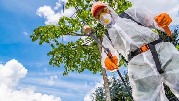 Virginia Same-Day Pest Control Process, Pricing & Expert Methods: Guide Released
